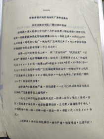 一个男同志的处理请示报告