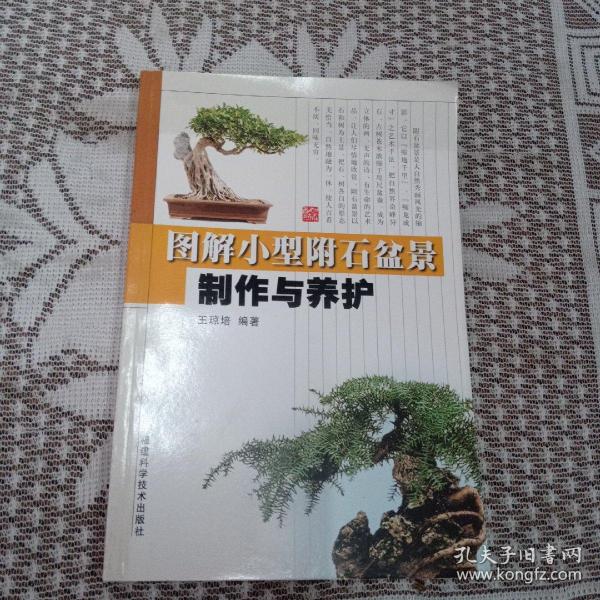 图解小型附石盆景制作与养护