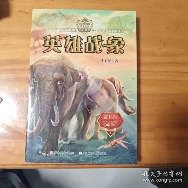 动物小说大王沈石溪·奇幻书系：英雄战象
