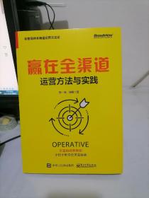 赢在全渠道：运营方法与实践