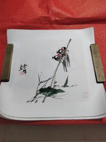 云峰花鸟画一平尺小品 原作非印刷品 保真