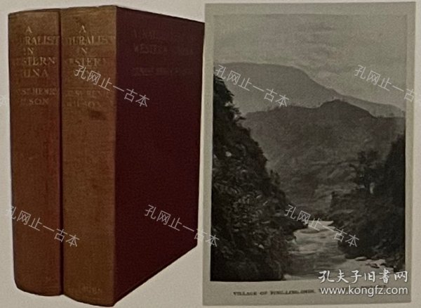 价可议 A Naturalist in Western China with Vasculum Camera and Gun nmwznwzn