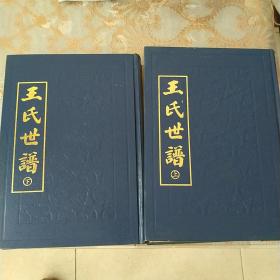 王氏世譜上下冊