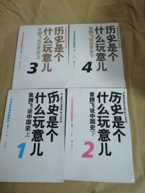 历史是个什么玩意儿 1-2-3-4：袁腾飞说世界史上（2册）