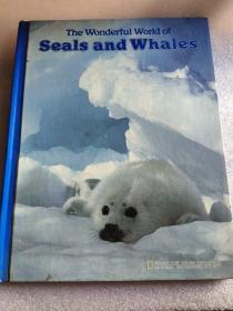 The  Wonderful  World  Of  Seals  and  Whales