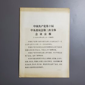 大字版：中共第十届中央委员会第三次全体会议公报