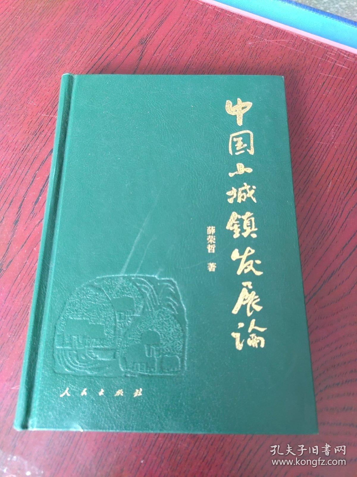 中国小城镇发展论