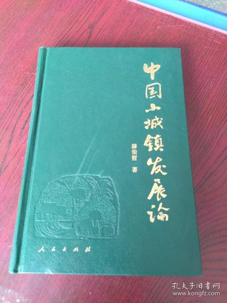 中国小城镇发展论