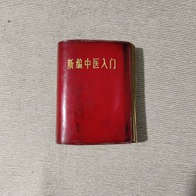 新编中医入门
