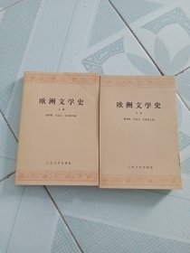 欧洲文学史（上下） 品相不错 有一块破损