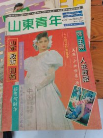 山东青年1993年第2期