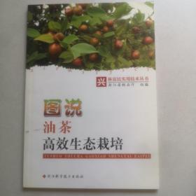 图说油茶高效生态栽培