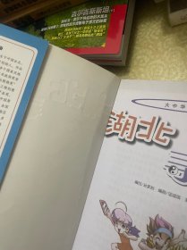 我的第一本大中华寻宝漫画书：湖北寻宝记