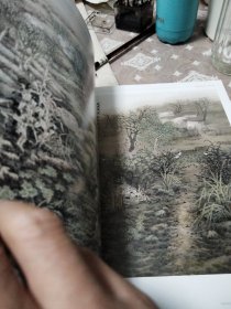 中国美术家大系第二十辑陈危冰卷