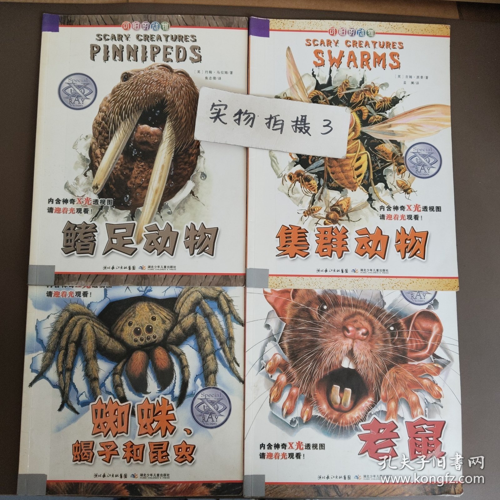 可怕的动物：蜘蛛蝎子和昆虫，老鼠，鳍足动物，集群动物（四本合售）
