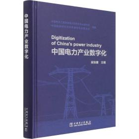中国电力产业数字化 水利电力 吴张建主编