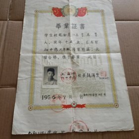 毕业证书 1956年