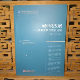 城市化发展：要素聚集与规划治理