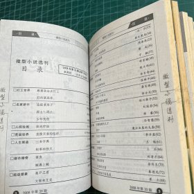 微型小说选刊2008.17-24（8册合售）