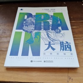 大脑运转的秘密