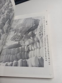 农民致富一百例
