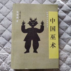 中国巫术（中华本土文化丛书）