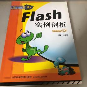 Flash 实例剖析