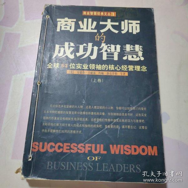 商业大师的成功智慧:全球53位实业领袖的核心经营理念