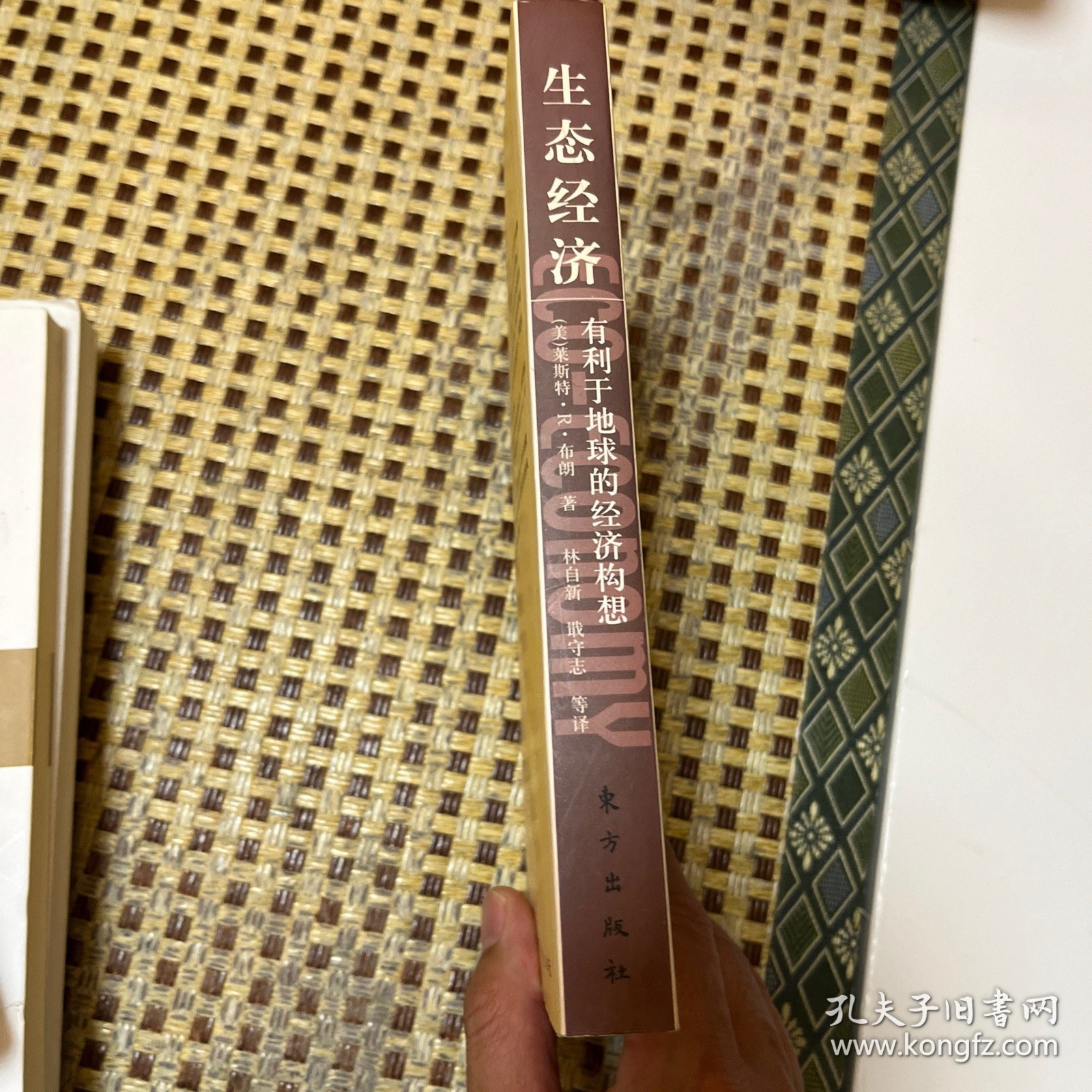 生态经济：有利于地球的经济构想
