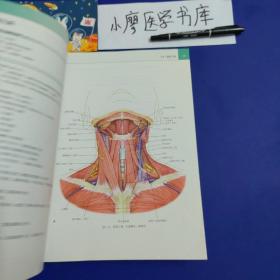 LWW解剖学精要图谱—头部和颈部（解剖学与影像学和临床知识的全面衔接）