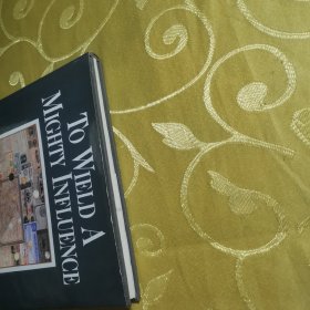 TO WIELD A MIGHTY INFLUENCE