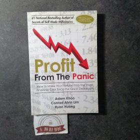 Profit From The Panic：How to make your fortune from the worst financial crisis since the great depression