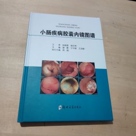 小肠疾病胶囊内镜图谱