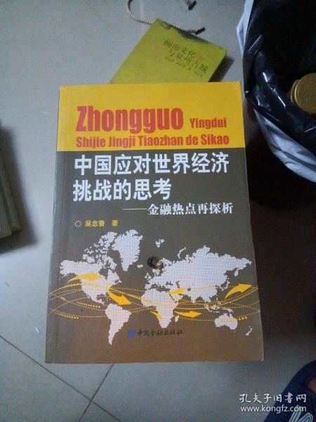 中国应对世界经济挑战的思考：金融热点再探析