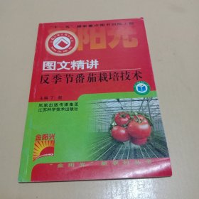 图文精讲反季节番茄栽培技术