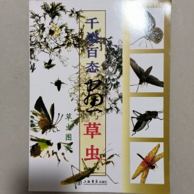 《千姿百态画草虫》