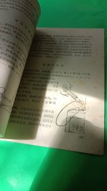 动手做 少年物理小实验（插图，馆藏）