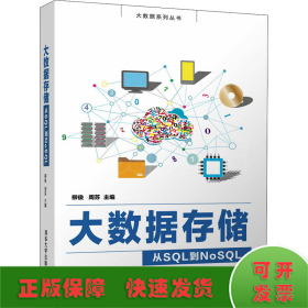 大数据存储——从SQL到NoSQL（大数据系列丛书）