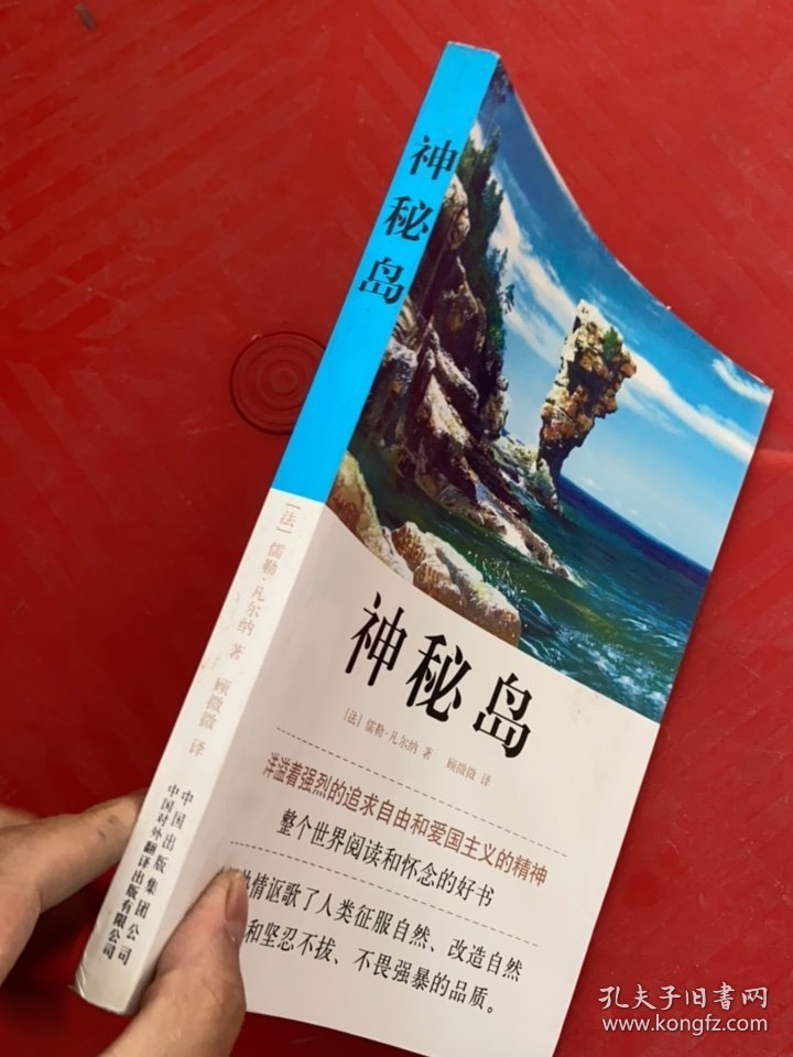 中译经典文库·世界文学名著：神秘岛（全译本）