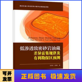 低渗透致密砂岩油藏差异富集规律及有利勘探区预测