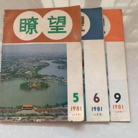 《瞭望》（1981年第5、6、9三期册）时政新闻，新华出版社