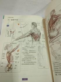 肌肉健美训练图解【全新修订】