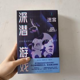 深潜游戏只有1（ 俄罗斯的“刘慈欣”封神之作，赛博朋克巅峰之作）