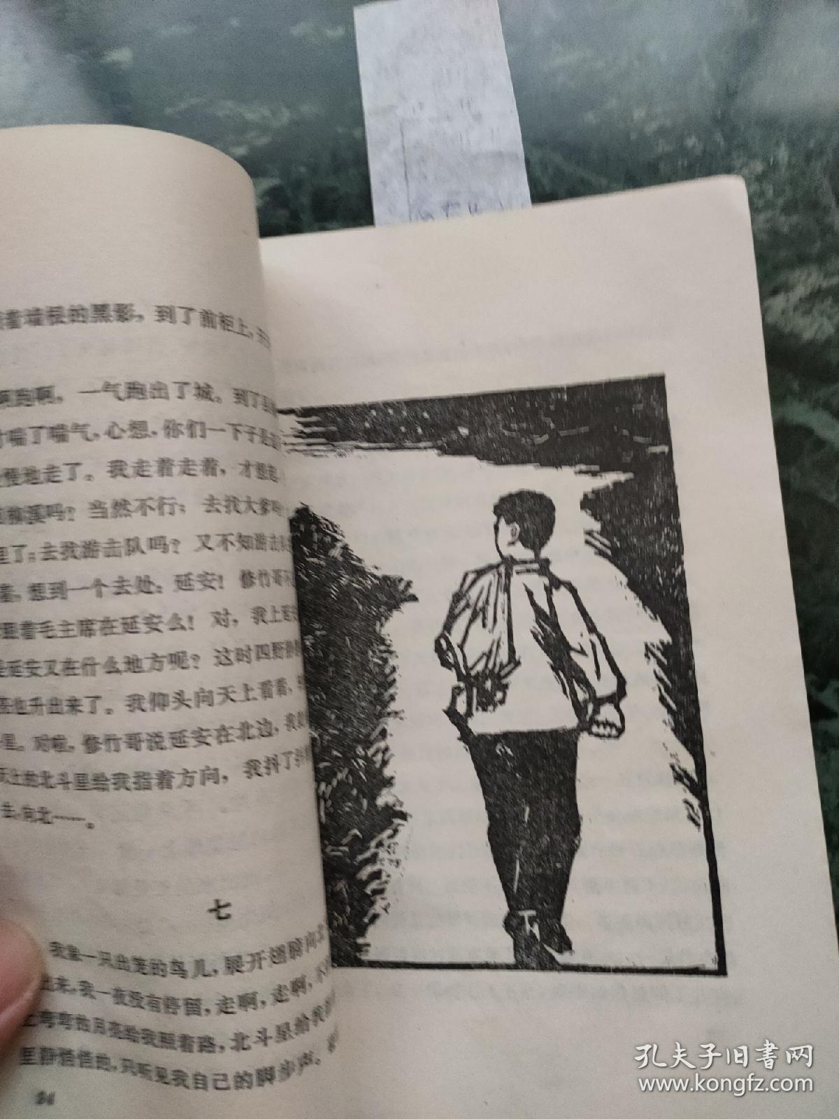 闪闪的红星