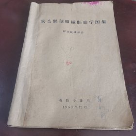 家畜解剖组织胚胎学图集，1959年，134页都是图，共302个图，畜牧专业用，首现