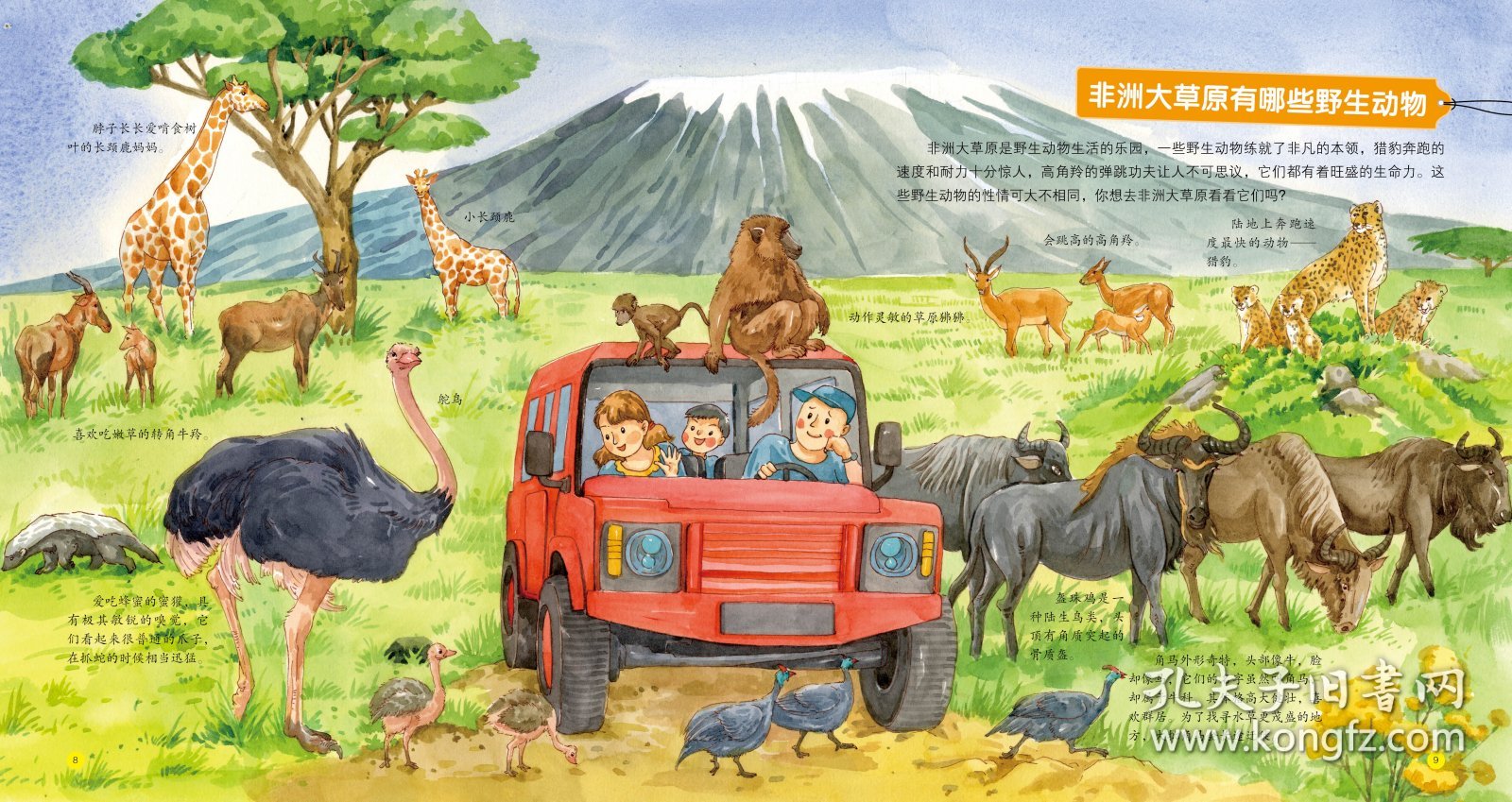 儿童科学启蒙馆·动物王国 136种有趣的动物 简洁有趣的插图，启发引导式的语言