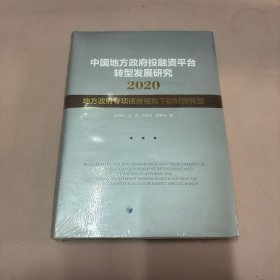 中国地方政府投融资平台转型发展研究2020