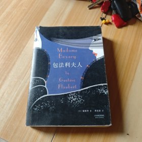 包法利夫人：“[最]完美的小说”，致徘徊在痛苦与向往之间的你