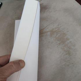 寻梦中国力量/德育与学生发展研究系列丛书（首届感动台州十大入围人物阮俊华作品）