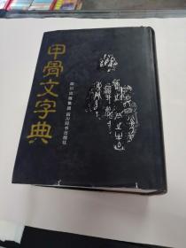 甲骨文字典（书棱，前皮破，前后几页有点黄斑，内容完整，品相如图）